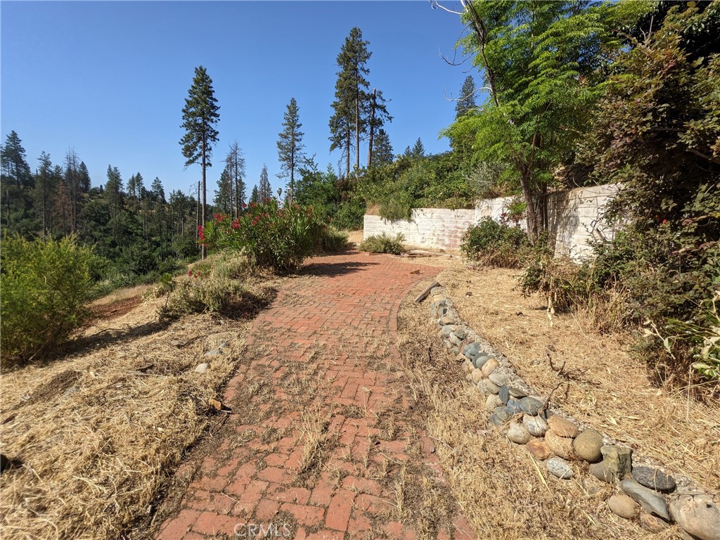1880 Stearns Road Paradise, CA 95969 - Photo 8 of 32 a view of a dry yard with trees in the background