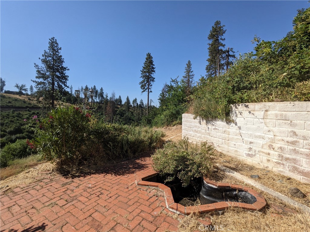 1880 Stearns Road Paradise, CA 95969 - Photo 9 of 32 a view of a yard