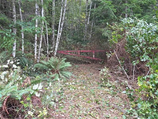 a backyard of a house with lots of green space and forest view