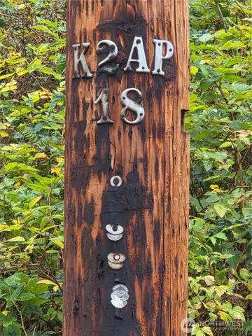 a door view with a tree