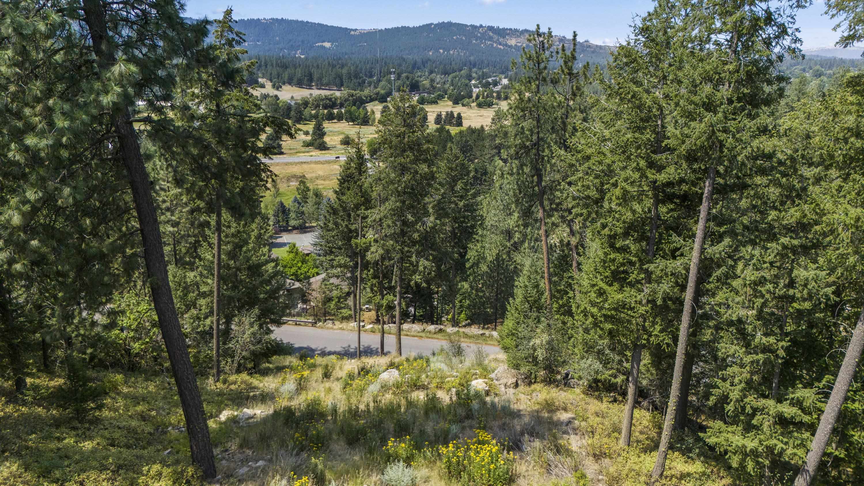 12542 East Chester Ridge Lane, Unit LOT 5 Spokane, WA 99206 - Photo 7 of 31