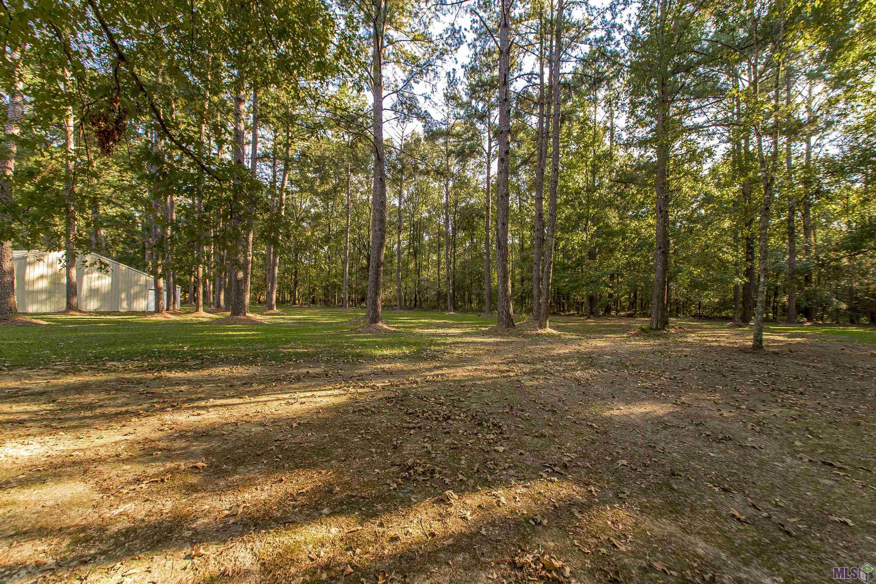 17256 Lavell Road Pride, LA 70770 - Photo 3 of 14 Gallery Image 3