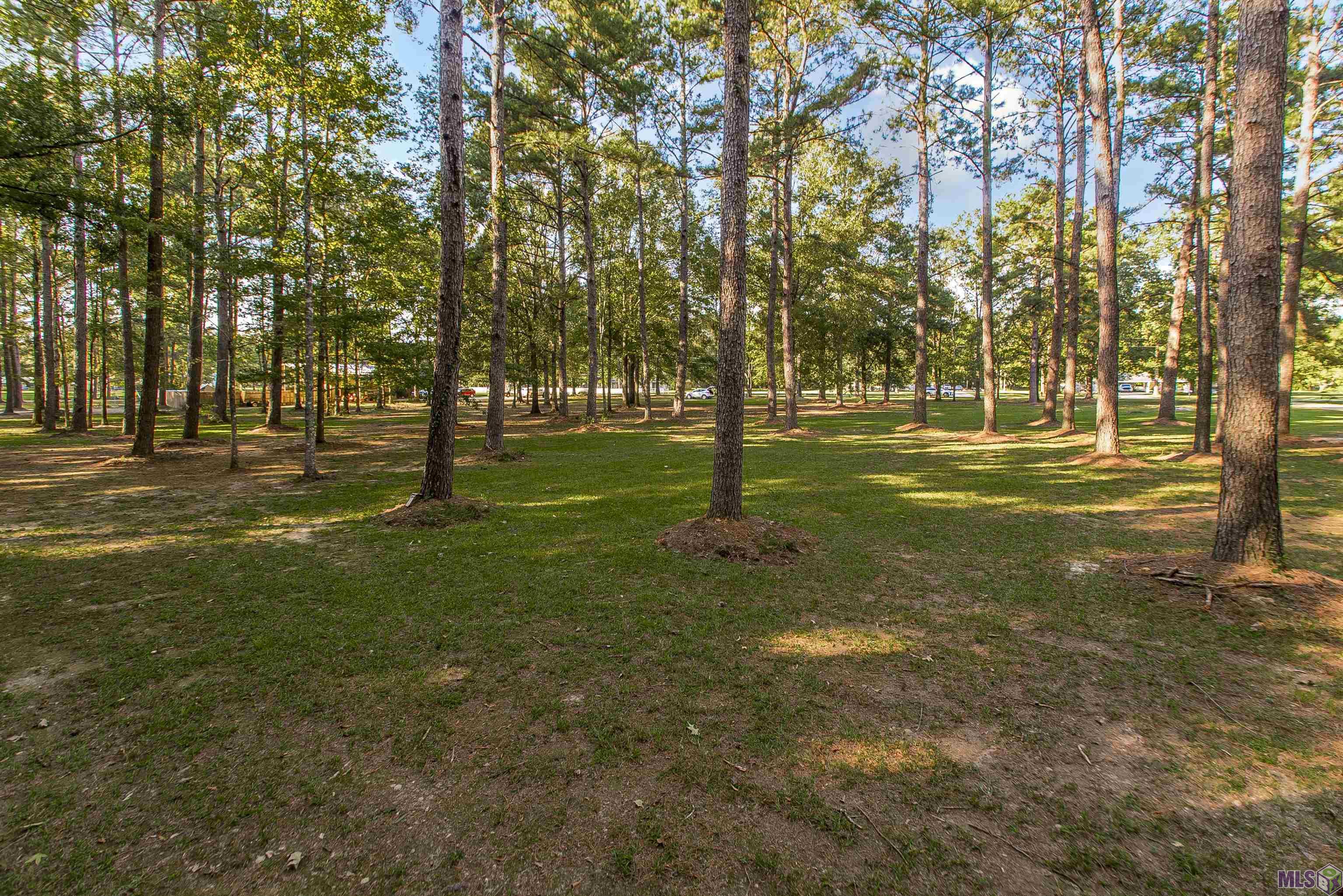 17256 Lavell Road Pride, LA 70770 - Photo 6 of 14 Gallery Image 6