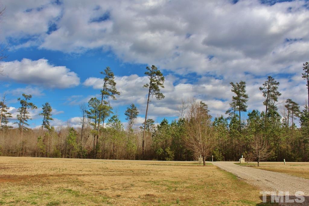 2398 Prophecy Road Middlesex, NC 27557 - Photo 3 of 14