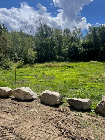 a view of a backyard with green space