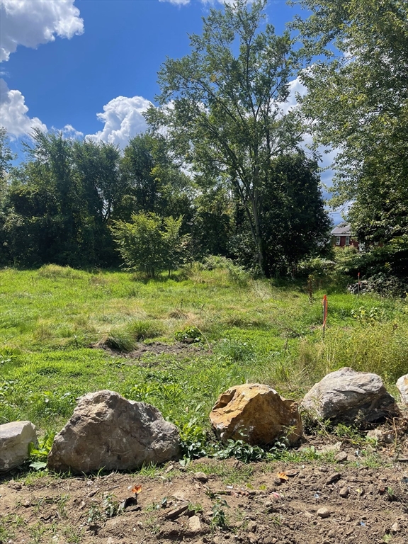 662 Main Street Ashby, MA 01431 - Photo 20 of 20 a view of a garden with a sink