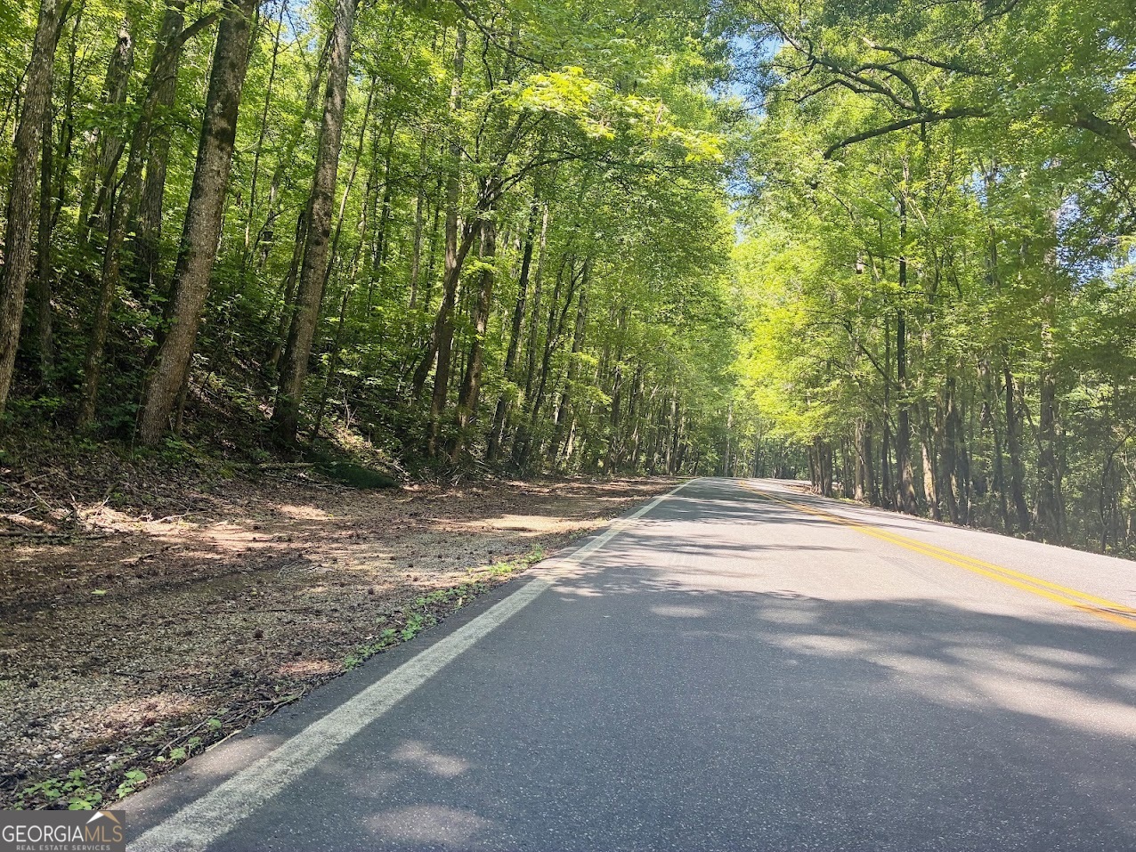 0 Forest Glen Road, Unit A Sylacauga, AL 35151 - Photo 1 of 34