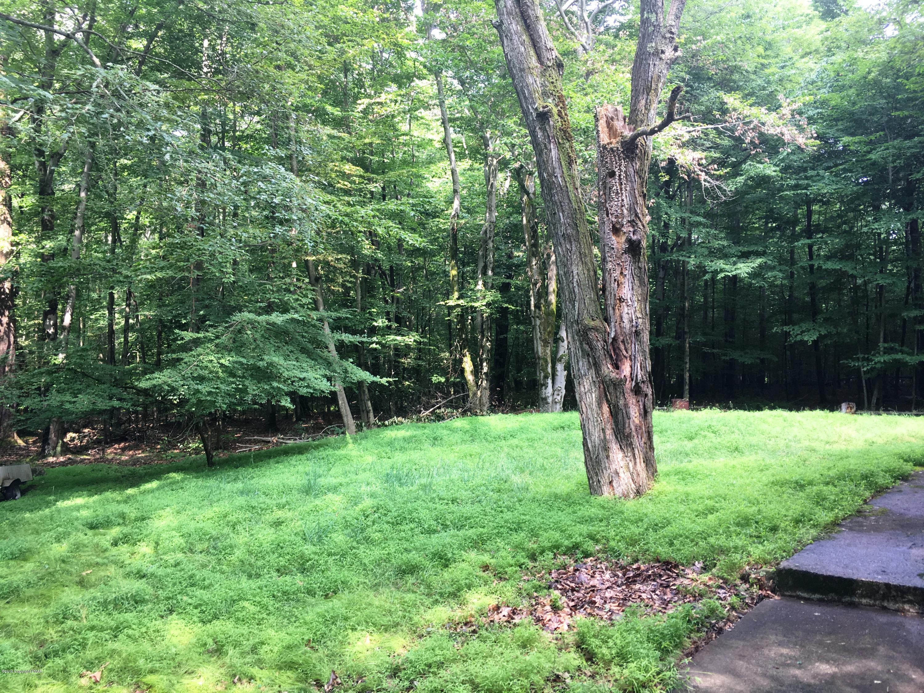35 Kensington Road Hawley, PA 18428 - Photo 18 of 21 a green field with lots of trees