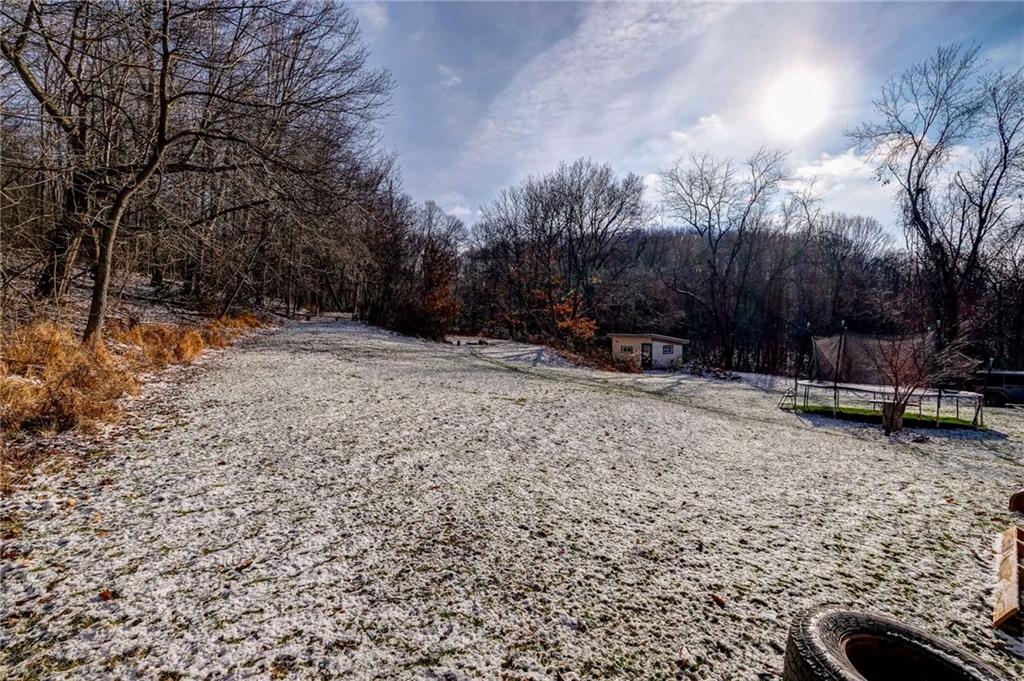 4249 Hollow Road New Castle, PA 16101 - Photo 29 of 33 a view of a yard with trees in the background