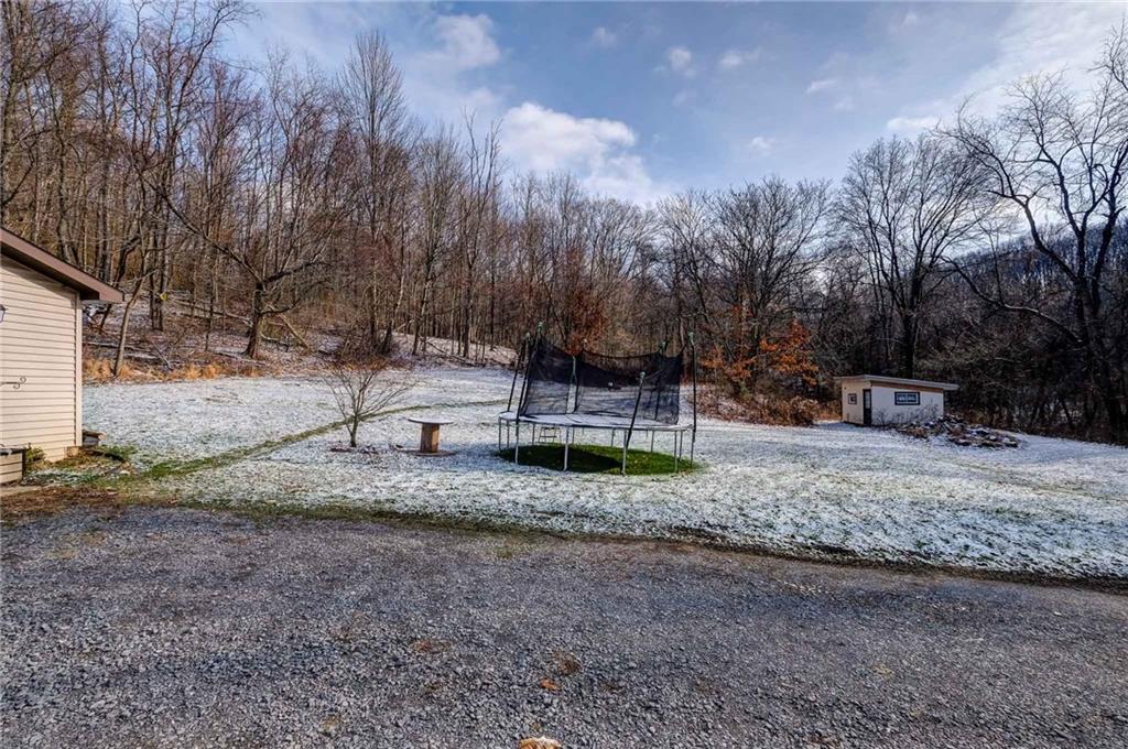 4249 Hollow Road New Castle, PA 16101 - Photo 33 of 33 a backyard of a house with oven and tree