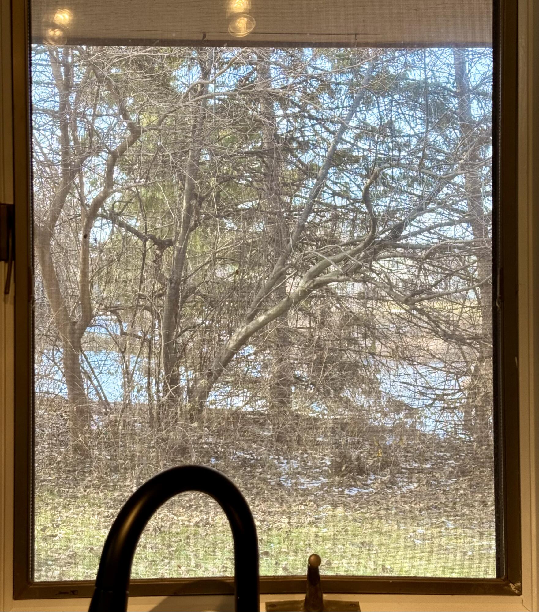 1962 Aspen Court Crown Point, IN 46307 - Photo 8 of 27 a view of house window
