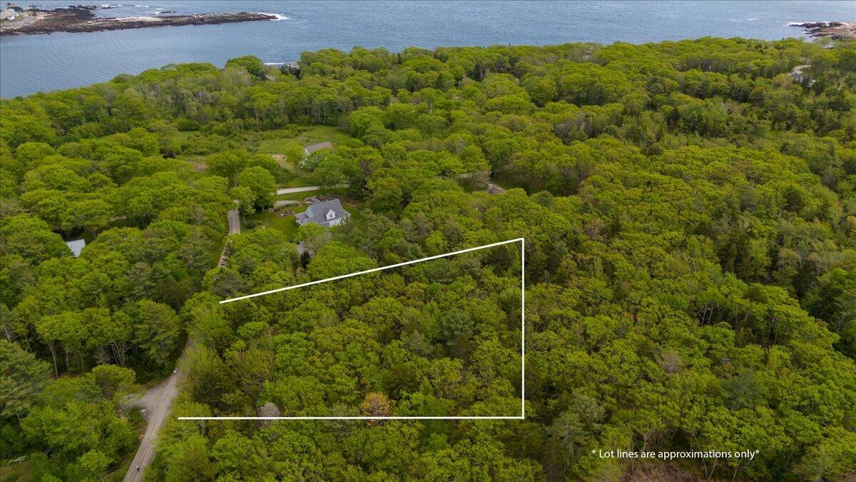 Lot 11 Russell Road Chamberlain, ME 04541 - Photo 5 of 17 Lot 11