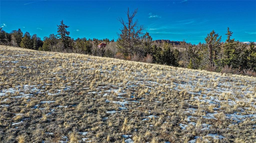 839 Arland Road Como, CO 80432 - Photo 18 of 21 a large tree