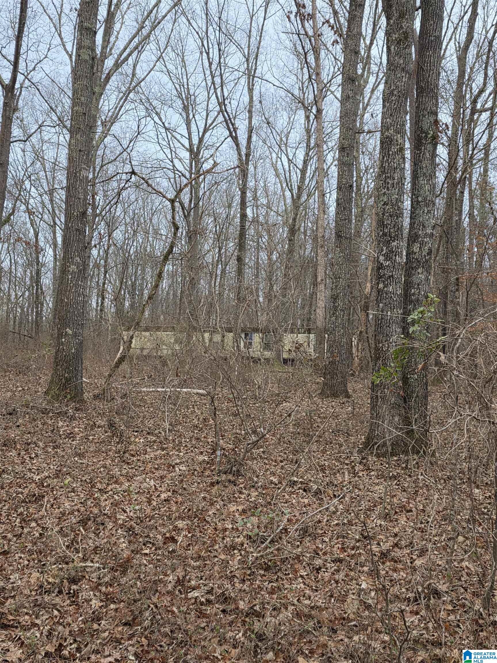 322 Tucker Road Talladega, AL 35160 - Photo 6 of 21