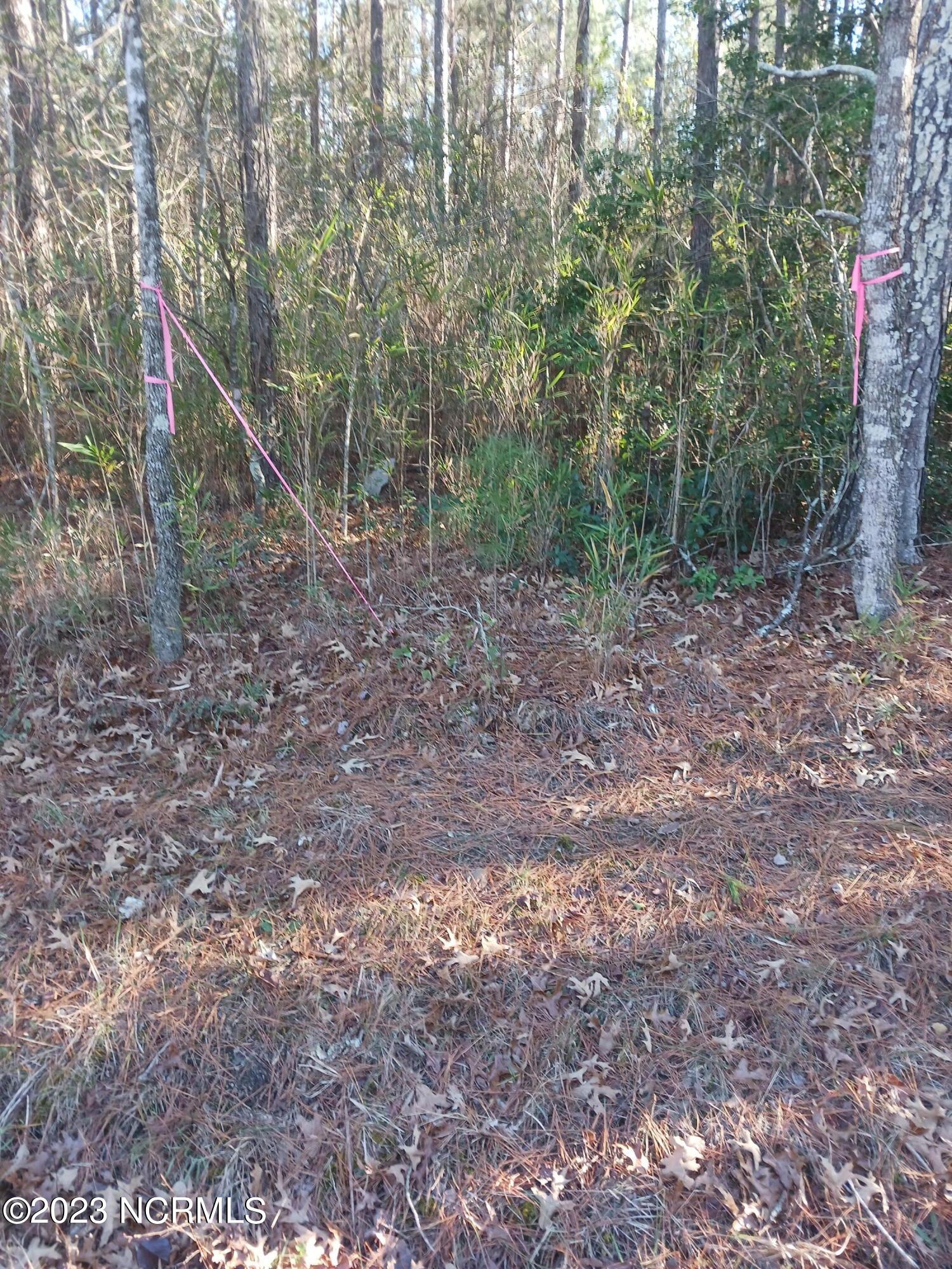 0 Scotts Store Road Grantsboro, NC 28529 - Photo 3 of 6 20221229_144155