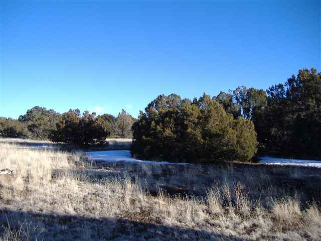 92 Co Road Vernon, AZ 85940 - Photo 2 of 5