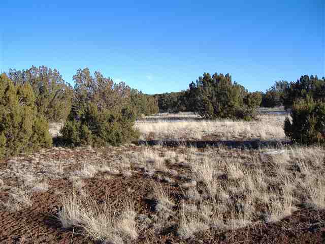 92 Co Road Vernon, AZ 85940 - Photo 3 of 5