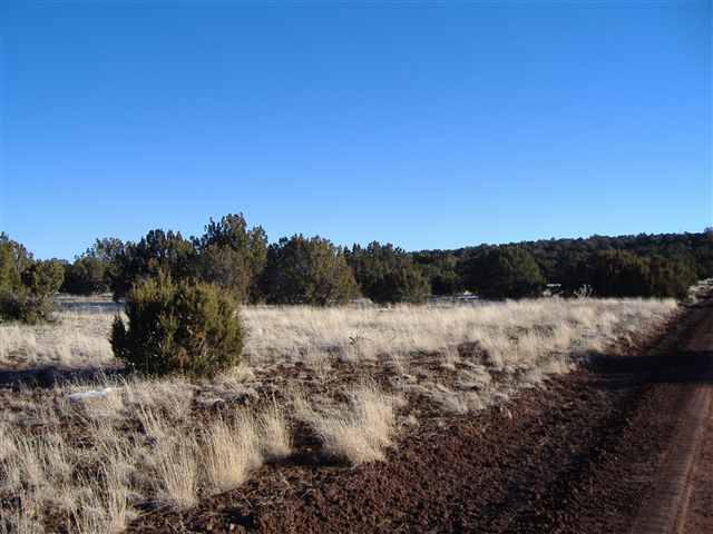 92 Co Road Vernon, AZ 85940 - Photo 4 of 5