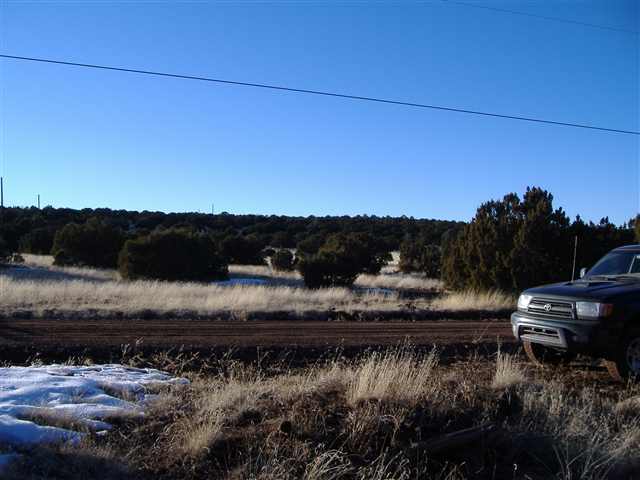 92 Co Road Vernon, AZ 85940 - Photo 5 of 5