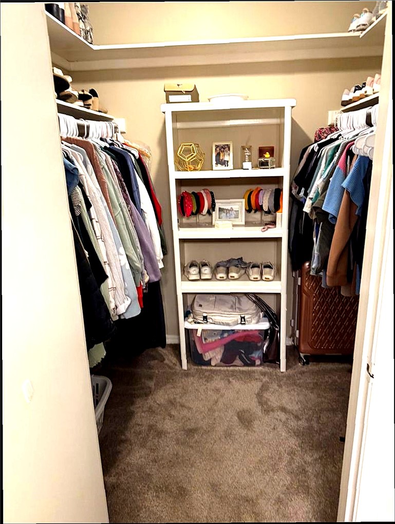 76 Club Road Dover, AR 72837 - Photo 14 of 36 Walk in closet featuring dark carpet