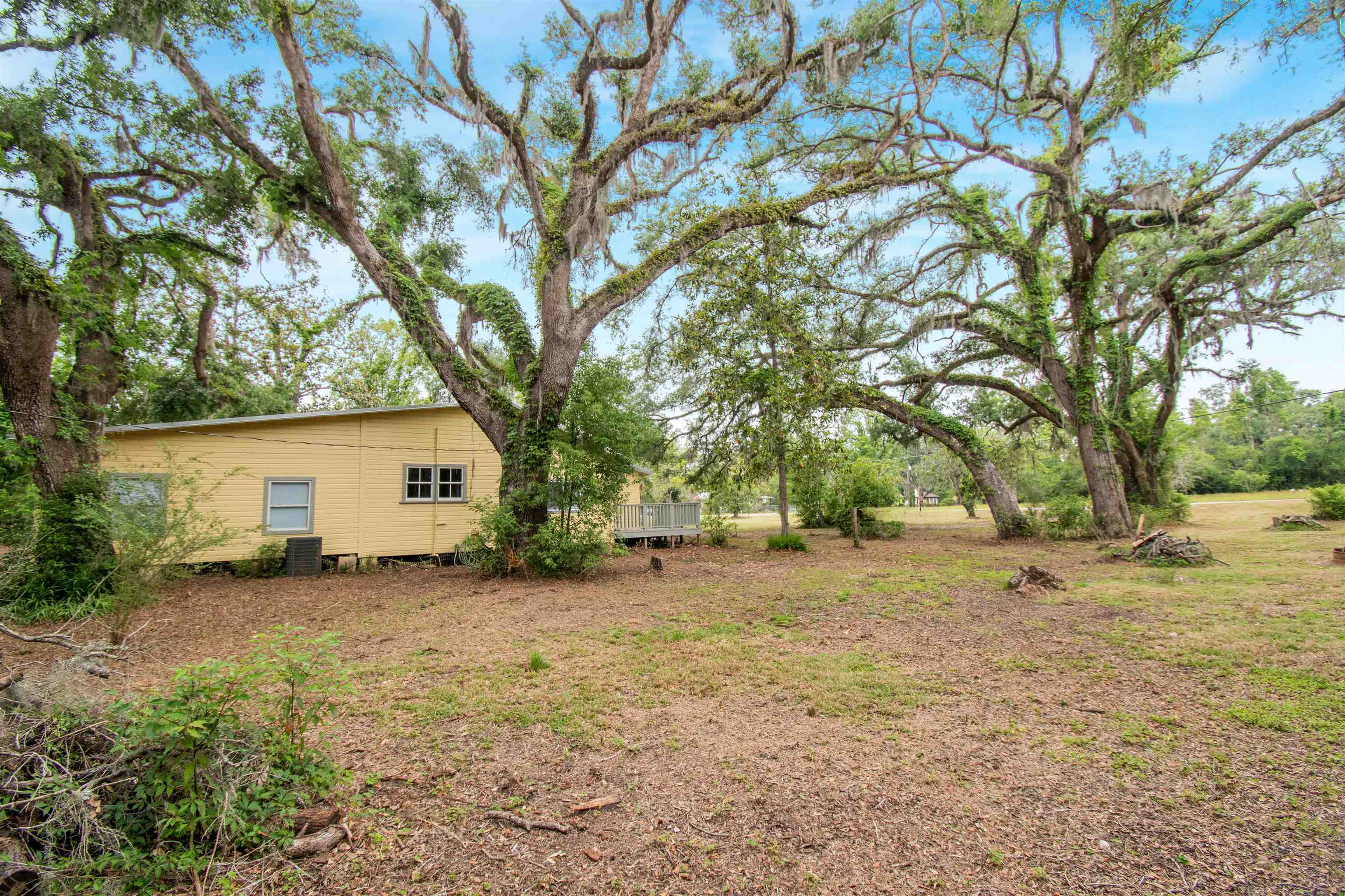 2851 Dorman Peacock Road Perry, FL 32348 - Photo 6 of 31