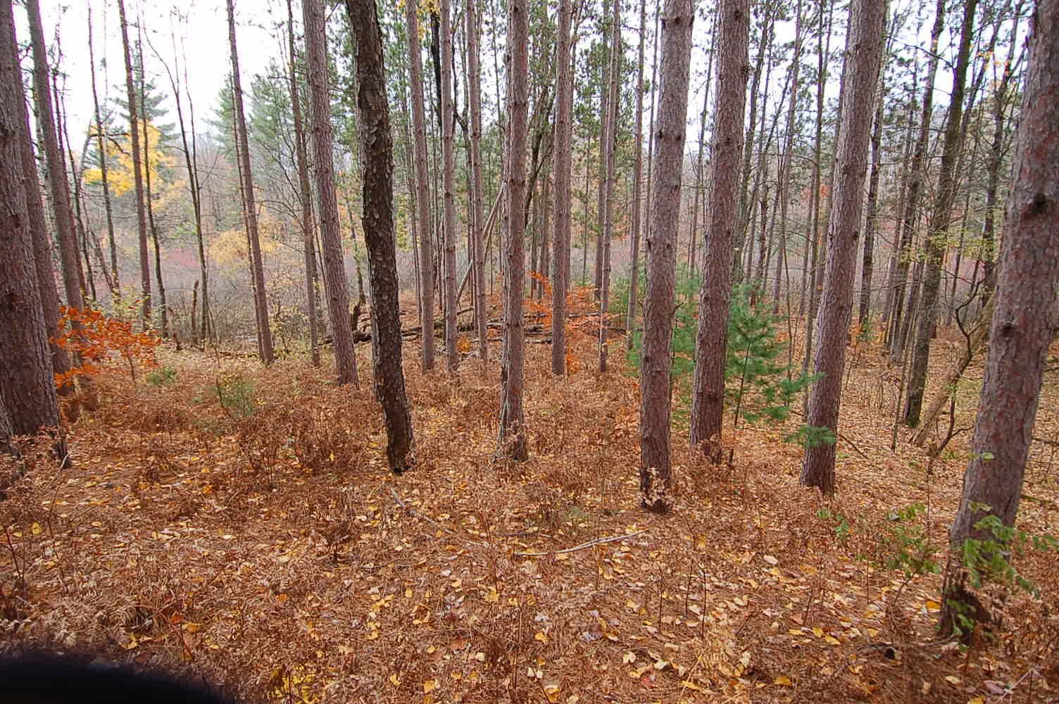 15501 22 Mile Road Tustin, MI 49688 - Photo 6 of 15