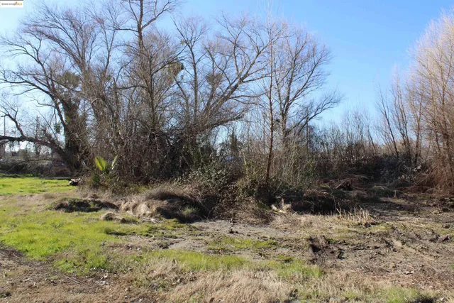 a backyard of a house