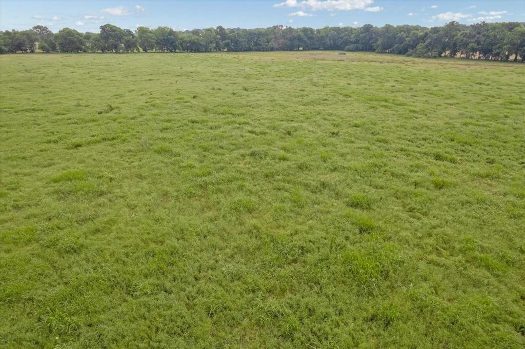 0 Strickland Road Van Alstyne, TX 75495 - Photo 11 of 13 View of western portion of Property facing east