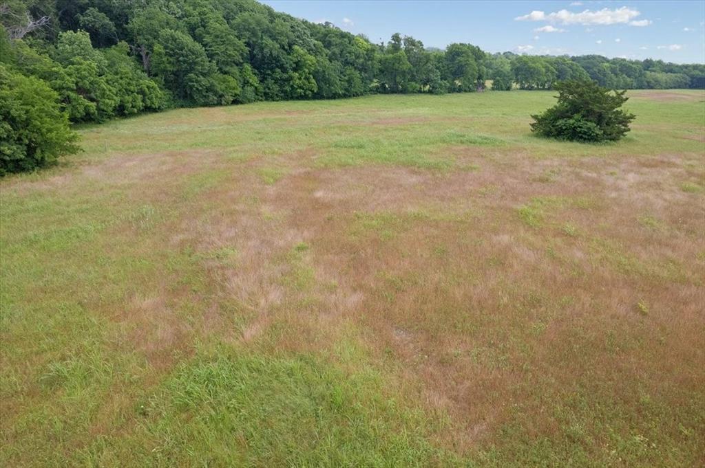 0 Strickland Road Van Alstyne, TX 75495 - Photo 13 of 13 View of eastern portion of property facing north