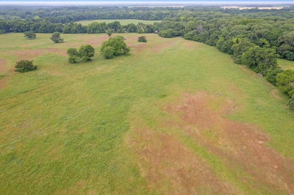 0 Strickland Road Van Alstyne, TX 75495 - Photo 8 of 13 Close-up view of eastern portion of Property, facing west