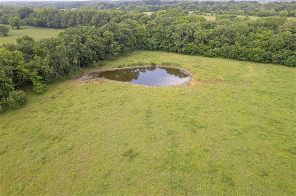 0 Strickland Road Van Alstyne, TX 75495 - Photo 9 of 13 View of pond in southwest corner of Property facing southwest