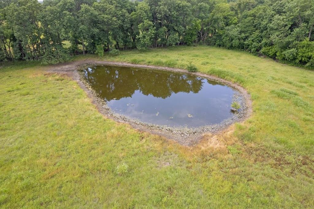 0 Strickland Road Van Alstyne, TX 75495 - Photo 10 of 13 Close-up view of pond