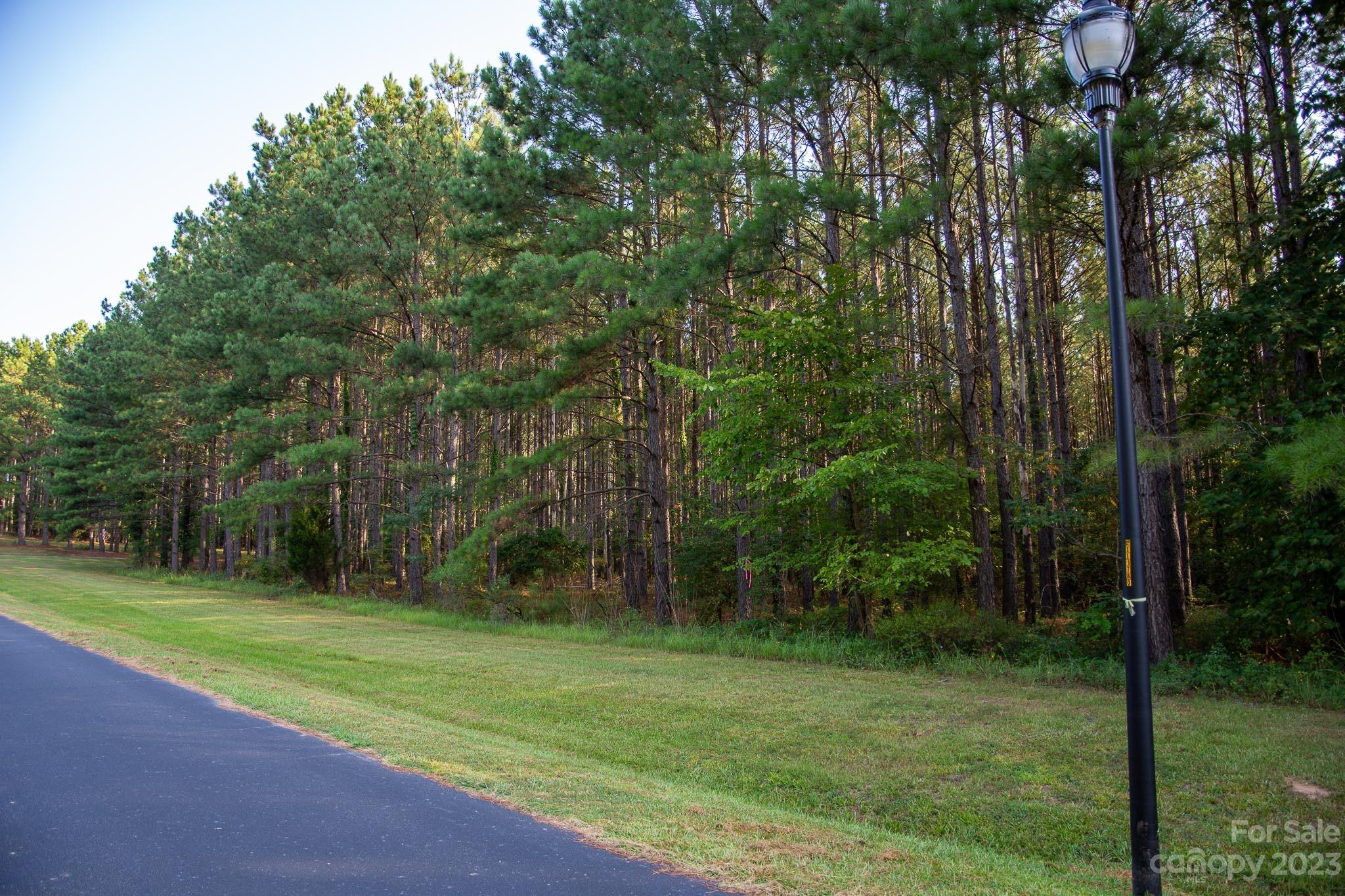 0 Spencer Point Road, Unit 11C Lilesville, NC 28091 - Photo 3 of 9