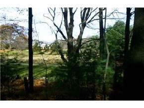 0 New Orchard Road Epsom, NH 03263 - Photo 3 of 9
