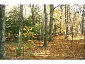 0 New Orchard Road Epsom, NH 03263 - Photo 5 of 9