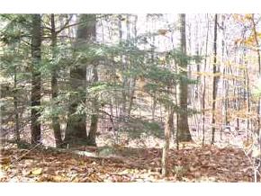 0 New Orchard Road Epsom, NH 03263 - Photo 7 of 9
