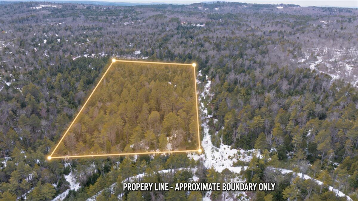 Lot 21 Plains Road Harrison, ME 04040 - Photo 2 of 9 02-1_Aerial 10