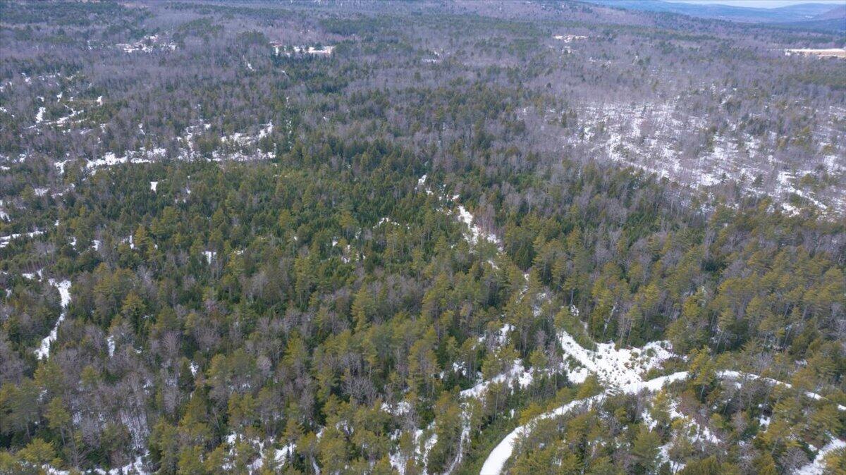 Lot 21 Plains Road Harrison, ME 04040 - Photo 4 of 9 04-DJI_20260315131456_0120_D