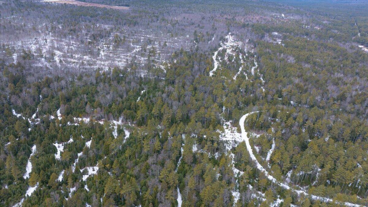 Lot 21 Plains Road Harrison, ME 04040 - Photo 5 of 9 06-DJI_20260315131528_0122_D