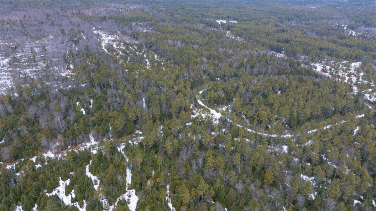 Lot 21 Plains Road Harrison, ME 04040 - Photo 6 of 9 07-DJI_20260315131544_0123_D