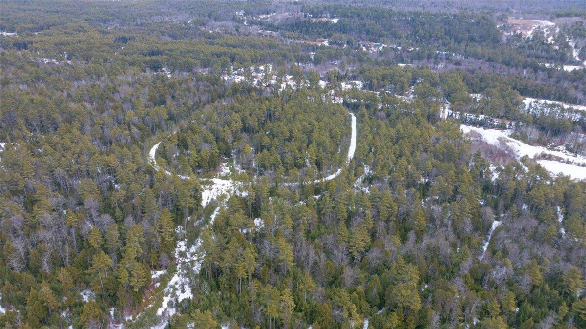 Lot 21 Plains Road Harrison, ME 04040 - Photo 8 of 9 09-DJI_20260315131605_0125_D