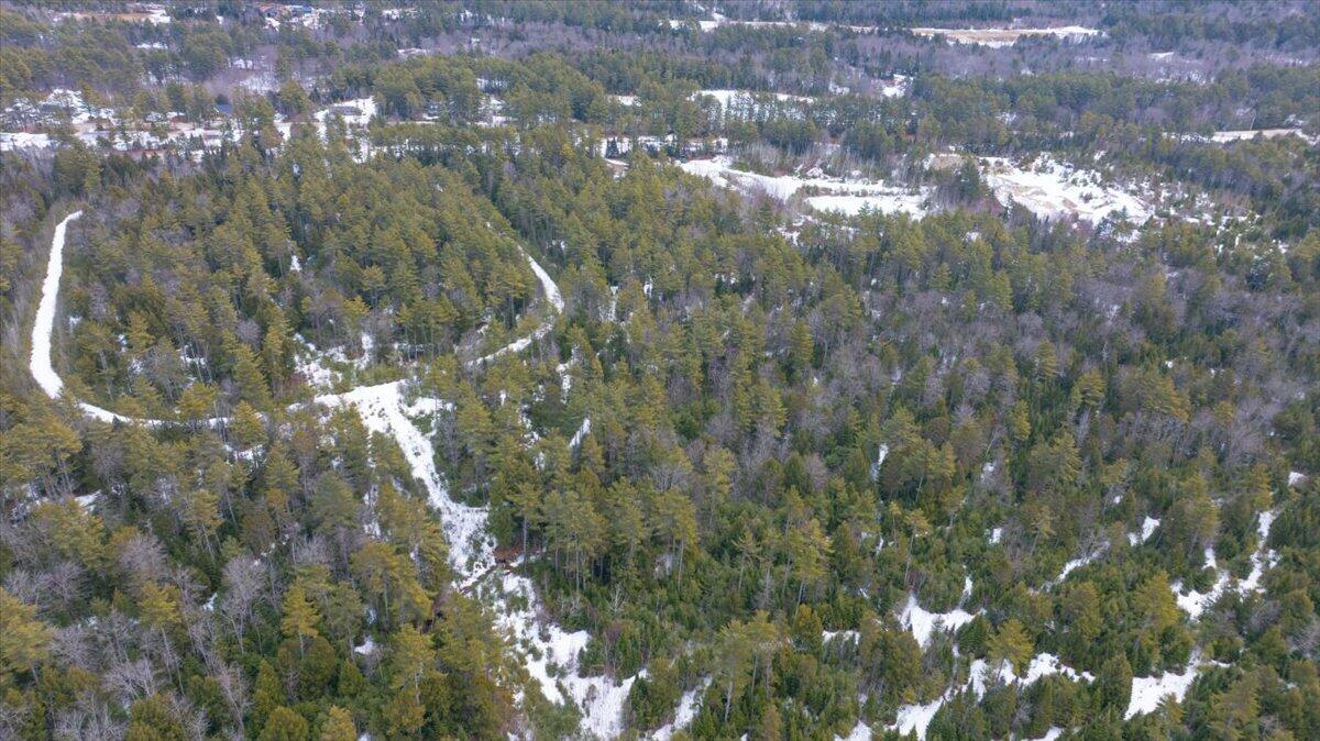 Lot 21 Plains Road Harrison, ME 04040 - Photo 9 of 9 10-DJI_20260315131620_0126_D