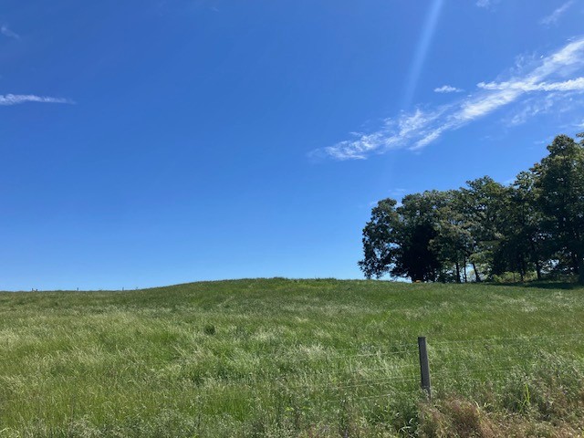 0 Sherrell Road Hillsboro, TN 37342 - Photo 3 of 3