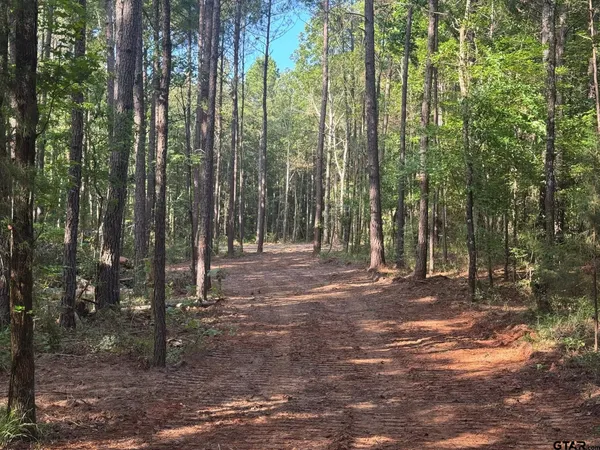 $69,000 | 3 A Cr, Rusk, TX 75785