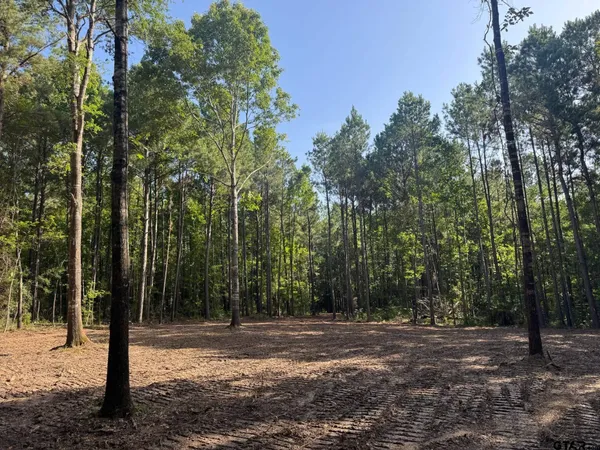 $69,000 | 3 A Cr, Rusk, TX 75785