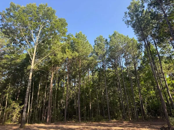 $69,000 | 3 A Cr, Rusk, TX 75785