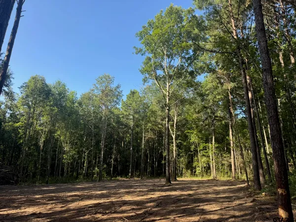 $69,000 | 3 A Cr, Rusk, TX 75785