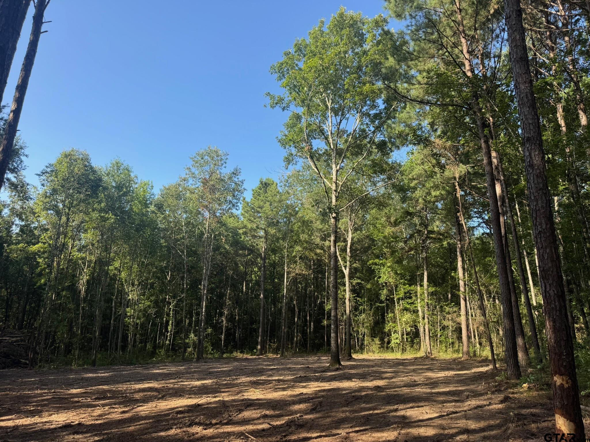 3 A Cr Rusk, TX 75785 - Photo 5 of 6