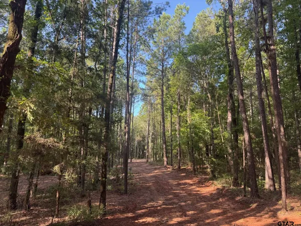 $69,000 | 3 A Cr, Rusk, TX 75785