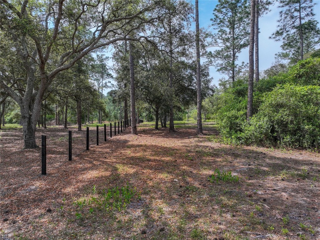 8115 Odom Rnch Trail Keystone Heights, FL 32656 - Photo 54 of 72